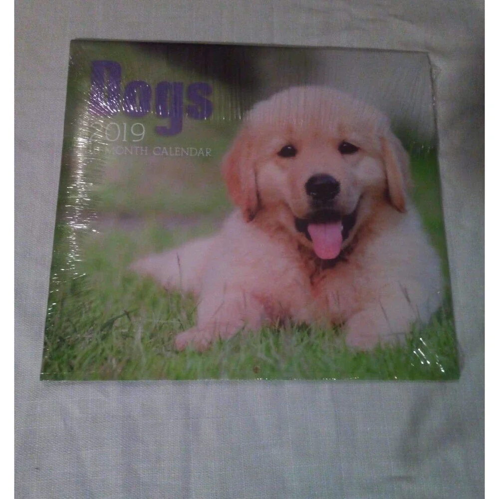 8 animal wall calendars Expired 2019 dogs cats horse baby animals